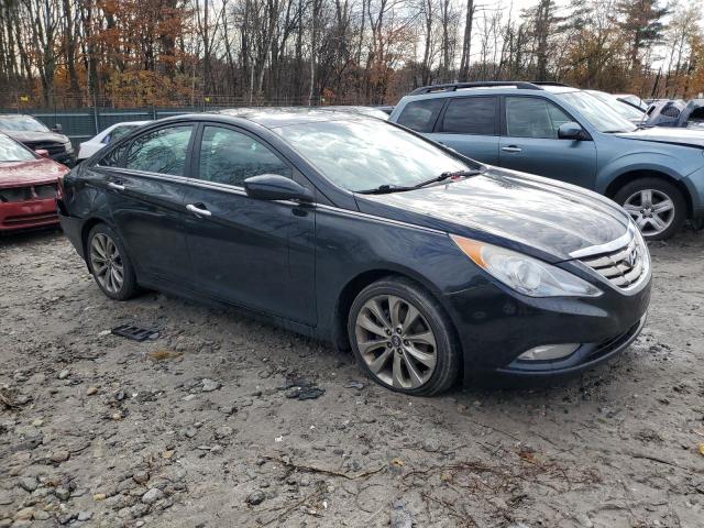 Photo 3 VIN: 5NPEC4AC1DH534775 - HYUNDAI SONATA SE 