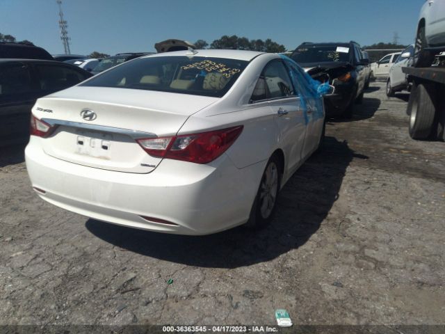 Photo 3 VIN: 5NPEC4AC1DH609684 - HYUNDAI SONATA 