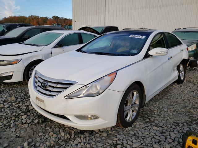 Photo 1 VIN: 5NPEC4AC1DH625383 - HYUNDAI SONATA SE 