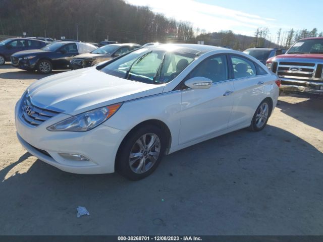 Photo 1 VIN: 5NPEC4AC1DH675510 - HYUNDAI SONATA 