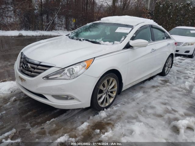 Photo 1 VIN: 5NPEC4AC1DH803860 - HYUNDAI SONATA 