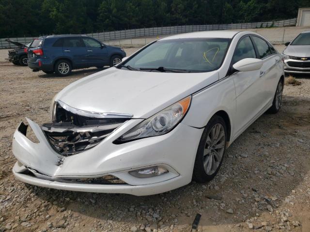 Photo 1 VIN: 5NPEC4AC2BH118568 - HYUNDAI SONATA SE 