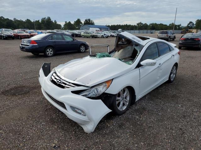 Photo 1 VIN: 5NPEC4AC2DH625991 - HYUNDAI SONATA SE 