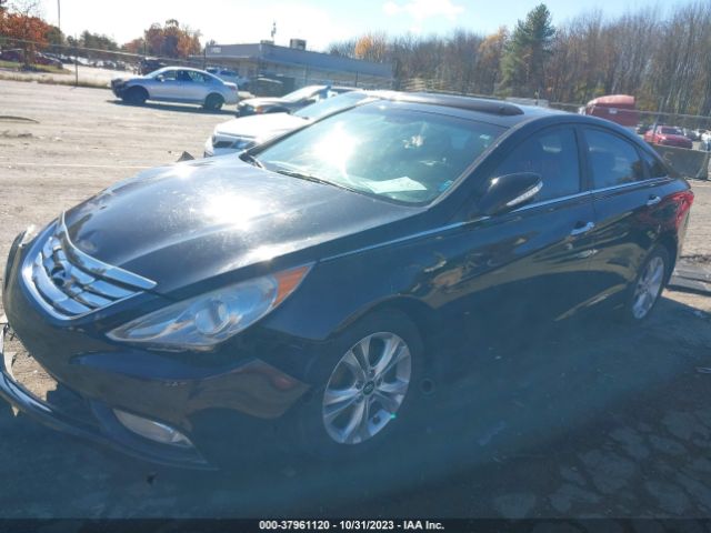 Photo 1 VIN: 5NPEC4AC2DH658148 - HYUNDAI SONATA 