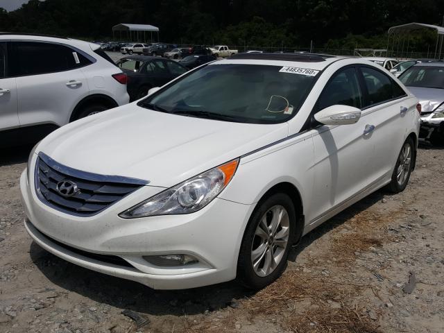 Photo 1 VIN: 5NPEC4AC2DH706831 - HYUNDAI SONATA SE 