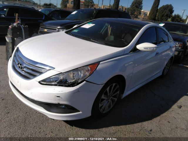 Photo 1 VIN: 5NPEC4AC2EH824508 - HYUNDAI SONATA 