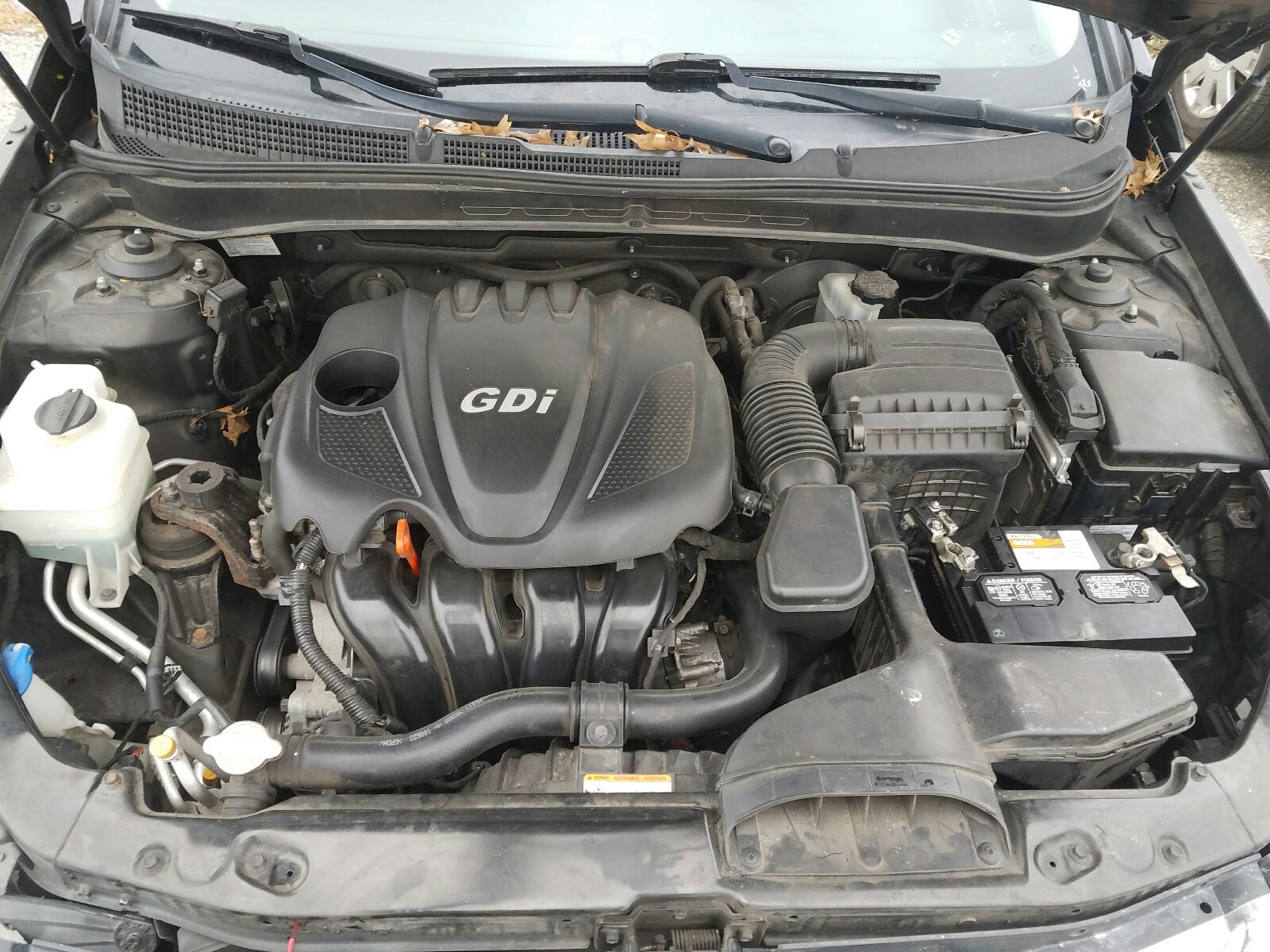 Photo 6 VIN: 5NPEC4AC3BH120619 - HYUNDAI SONATA SE 