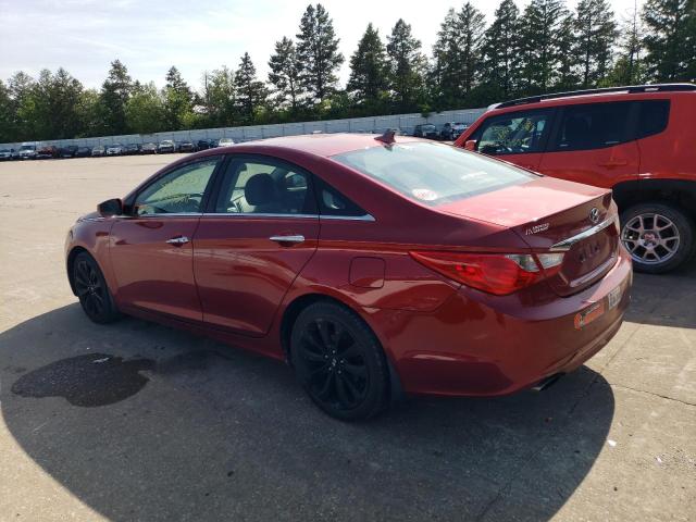 Photo 1 VIN: 5NPEC4AC3BH161588 - HYUNDAI SONATA SE 