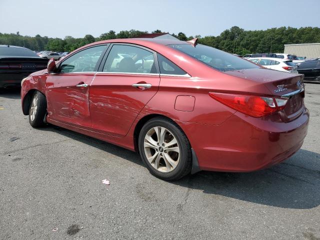 Photo 1 VIN: 5NPEC4AC3BH239920 - HYUNDAI SONATA SE 