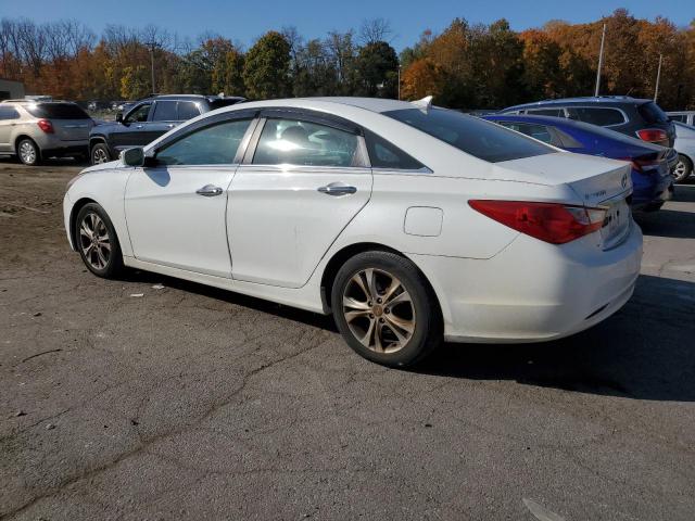 Photo 1 VIN: 5NPEC4AC3BH276319 - HYUNDAI SONATA SE 