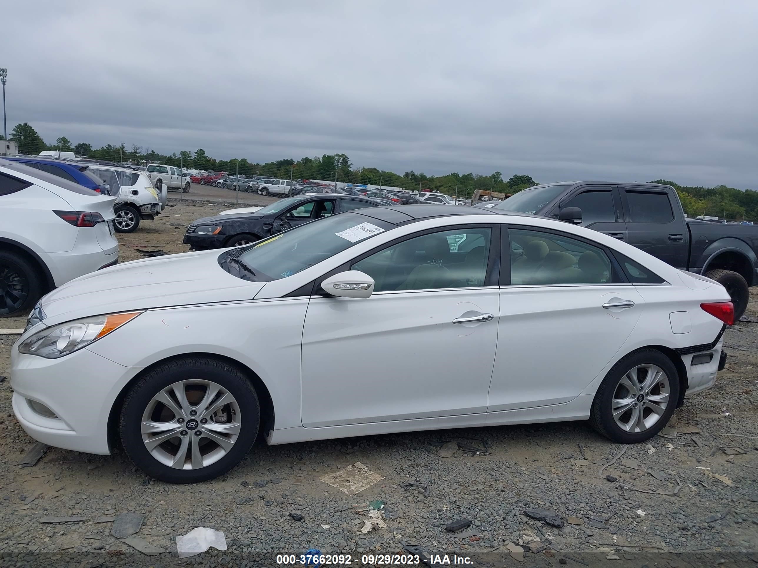 Photo 13 VIN: 5NPEC4AC3CH392301 - HYUNDAI SONATA 