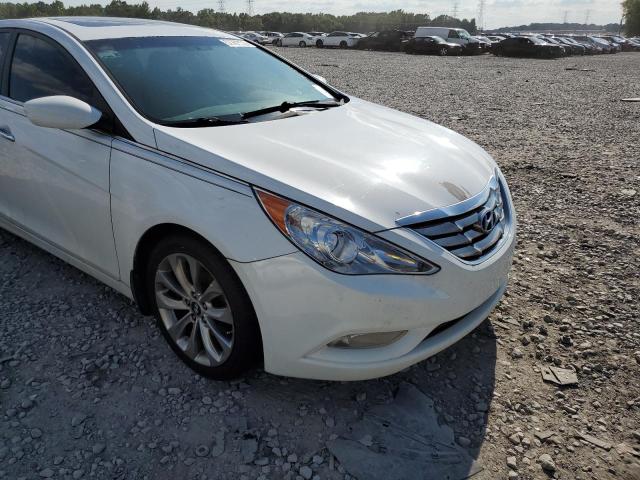 Photo 8 VIN: 5NPEC4AC3DH528640 - HYUNDAI SONATA SE 