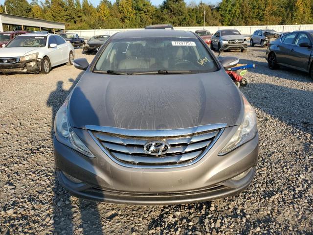 Photo 4 VIN: 5NPEC4AC3DH556079 - HYUNDAI SONATA SE 