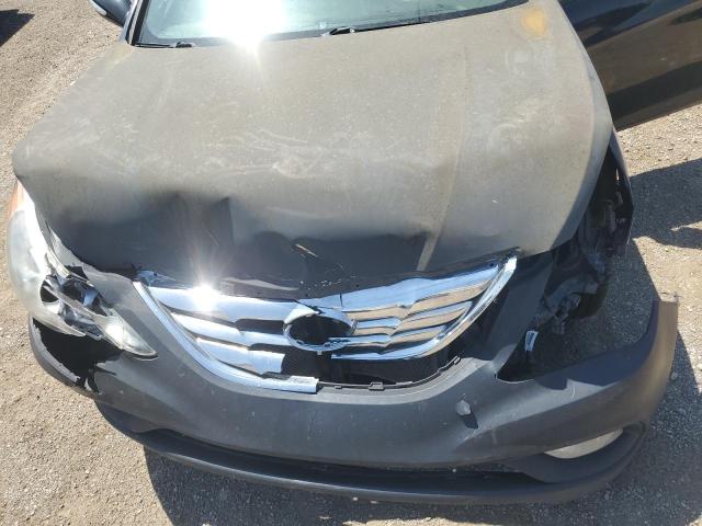 Photo 10 VIN: 5NPEC4AC3DH598087 - HYUNDAI SONATA SE 