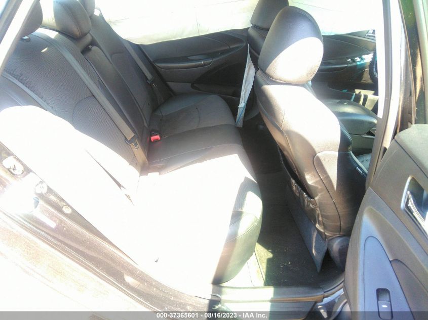 Photo 7 VIN: 5NPEC4AC3DH772305 - HYUNDAI SONATA 