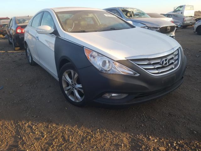 Photo 0 VIN: 5NPEC4AC3DH798502 - HYUNDAI SONATA 