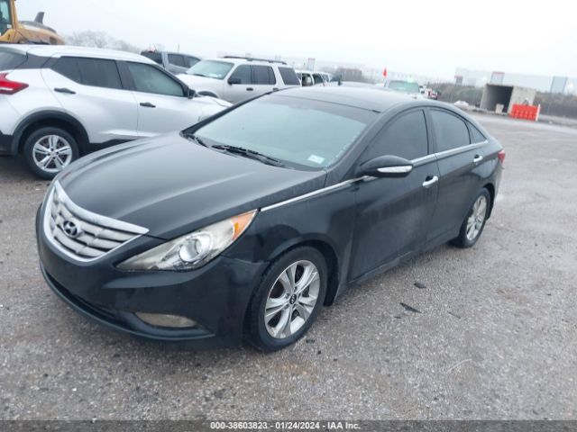 Photo 1 VIN: 5NPEC4AC4DH656126 - HYUNDAI SONATA 