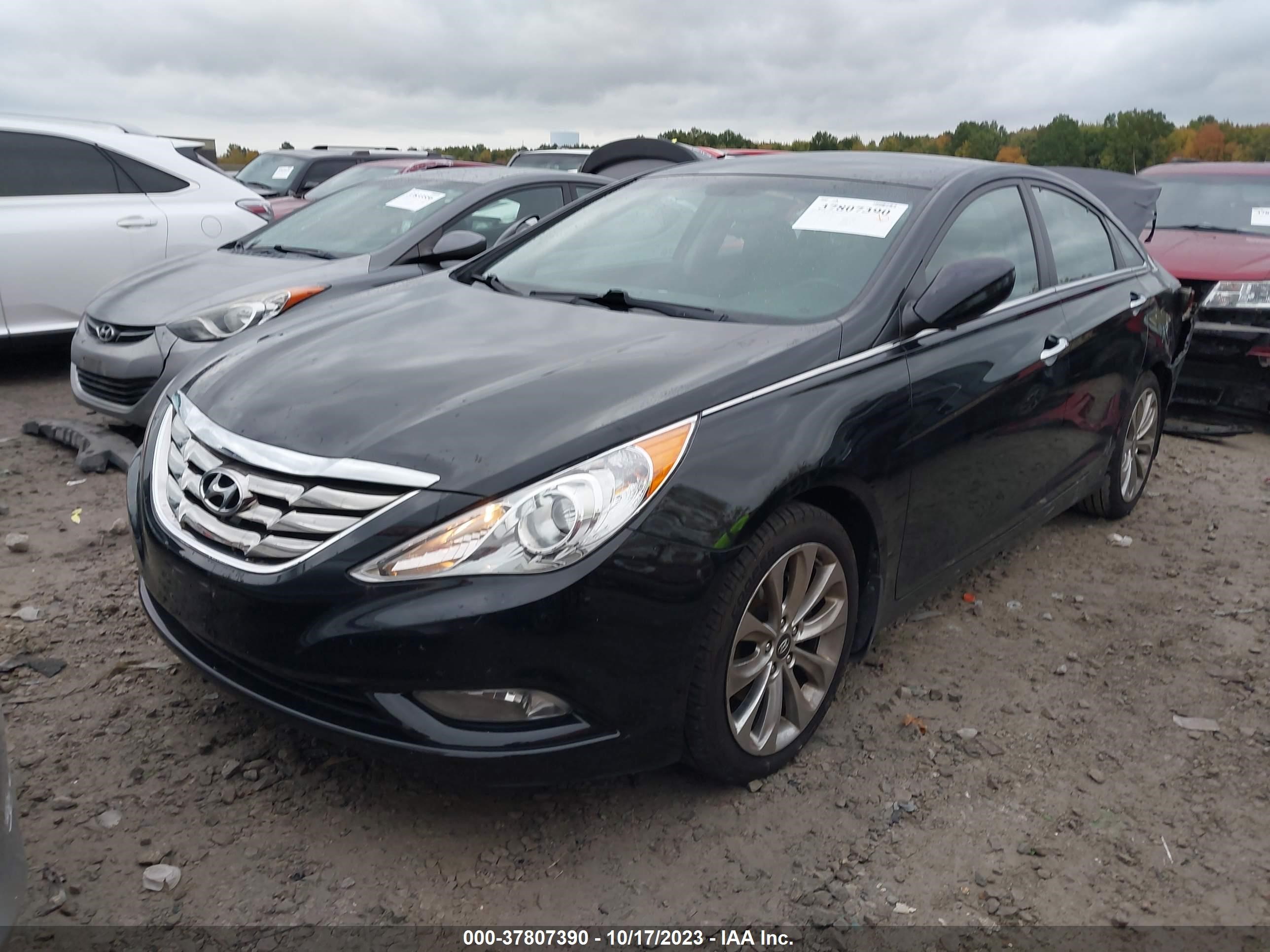 Photo 1 VIN: 5NPEC4AC4DH806610 - HYUNDAI SONATA 