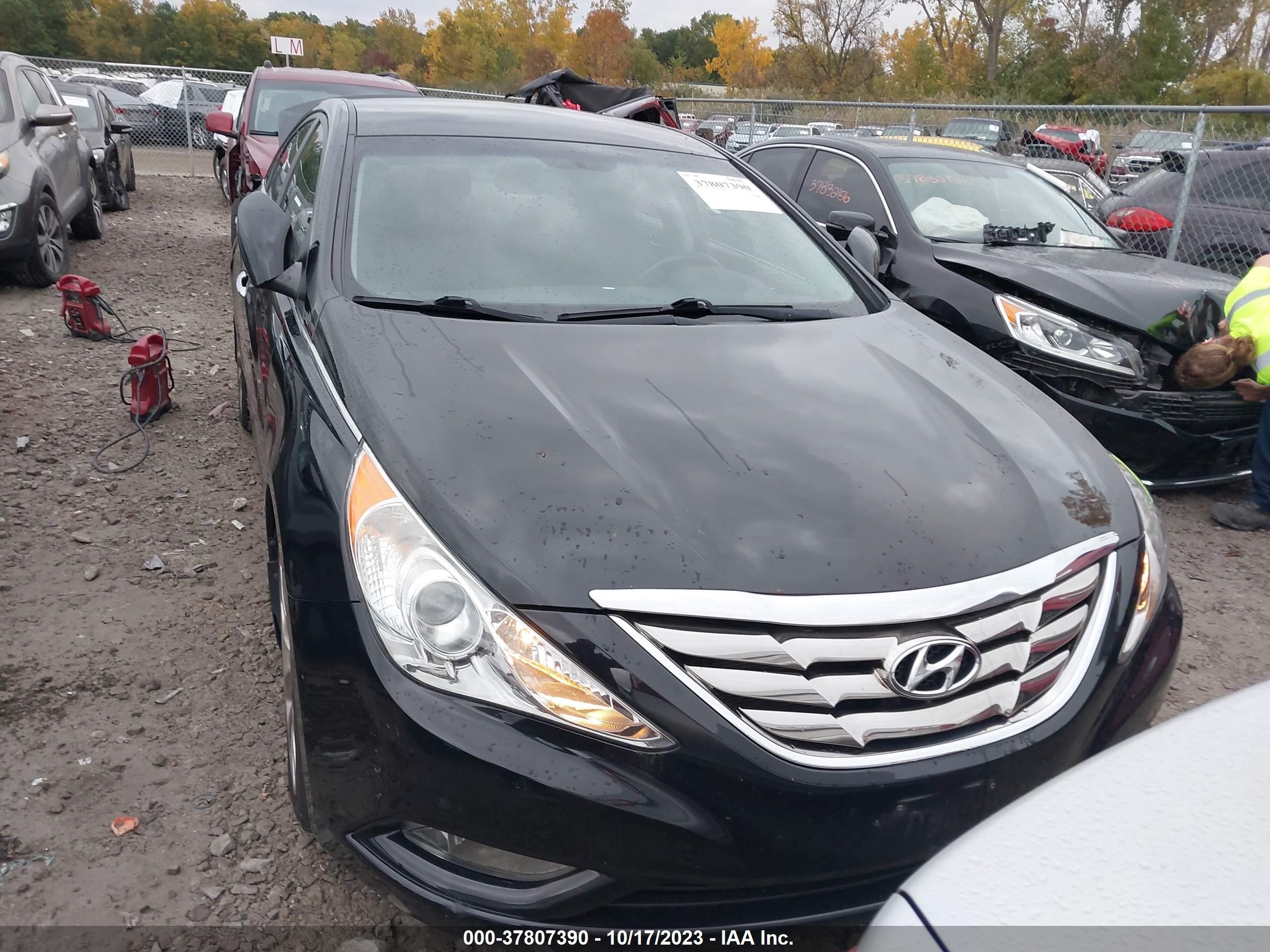 Photo 11 VIN: 5NPEC4AC4DH806610 - HYUNDAI SONATA 