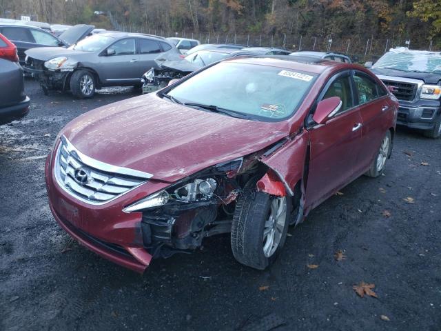 Photo 1 VIN: 5NPEC4AC5BH108343 - HYUNDAI SONATA SE 