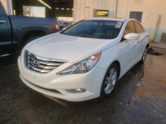 Photo 1 VIN: 5NPEC4AC5BH274507 - HYUNDAI SONATA SE 