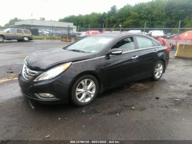 Photo 1 VIN: 5NPEC4AC5DH665868 - HYUNDAI SONATA 