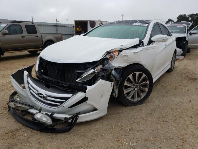 Photo 1 VIN: 5NPEC4AC5EH852576 - HYUNDAI SONATA SE 