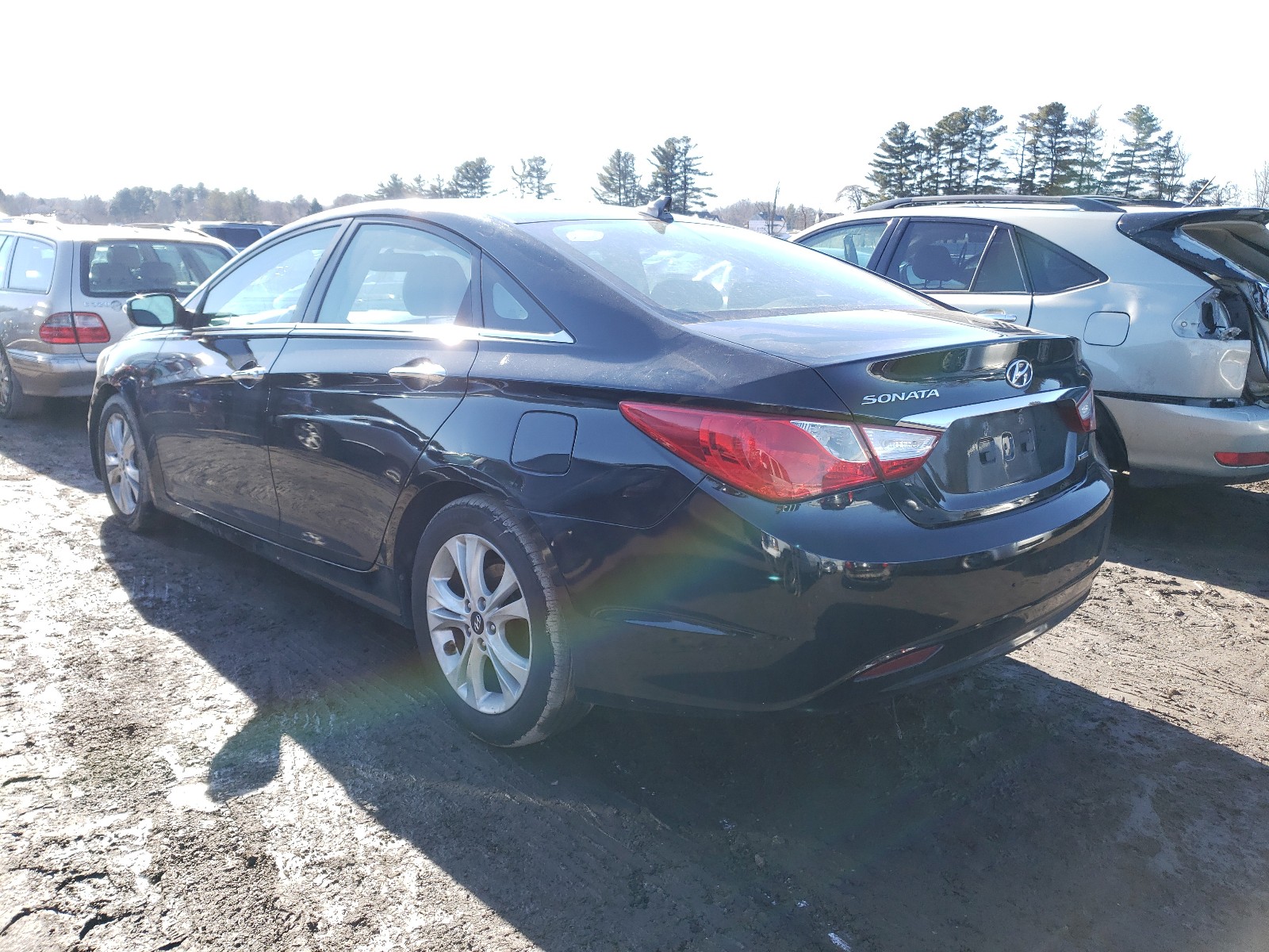 Photo 2 VIN: 5NPEC4AC6BH017985 - HYUNDAI SONATA SE 