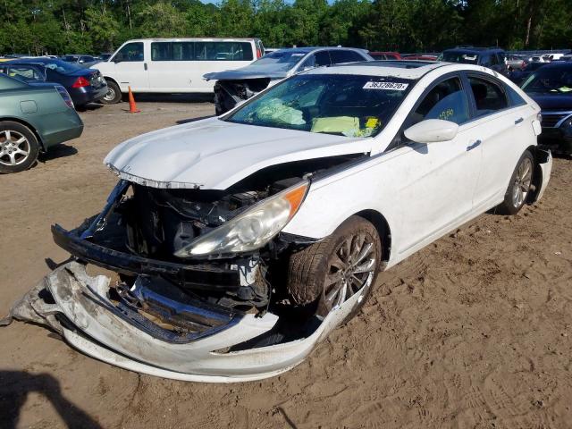 Photo 1 VIN: 5NPEC4AC6BH095814 - HYUNDAI SONATA SE 