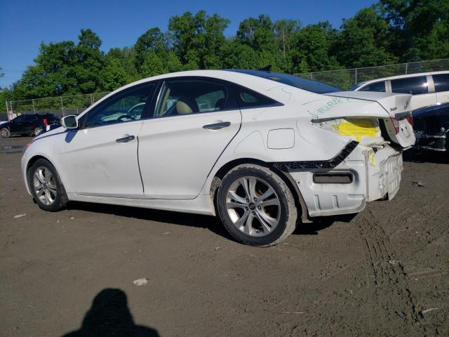 Photo 1 VIN: 5NPEC4AC6CH465502 - HYUNDAI SONATA 