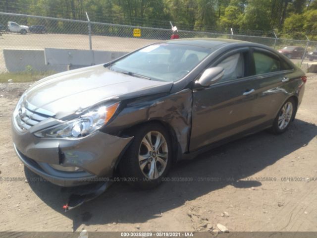 Photo 1 VIN: 5NPEC4AC6DH516224 - HYUNDAI SONATA 