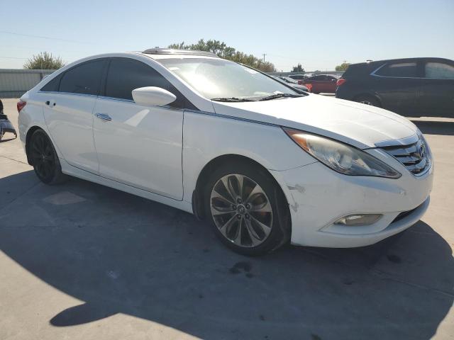 Photo 3 VIN: 5NPEC4AC6DH736785 - HYUNDAI SONATA SE 