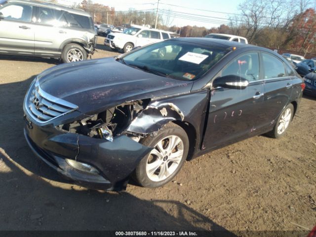 Photo 1 VIN: 5NPEC4AC6DH808634 - HYUNDAI SONATA 