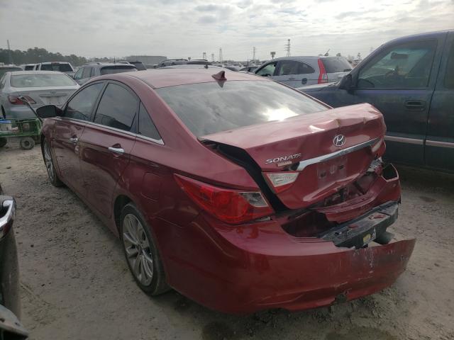 Photo 2 VIN: 5NPEC4AC7BH081954 - HYUNDAI SONATA SE 