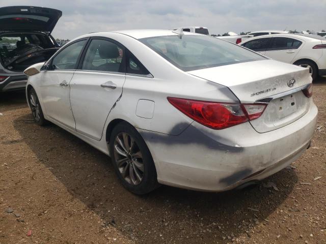 Photo 1 VIN: 5NPEC4AC7BH102897 - HYUNDAI SONATA SE 