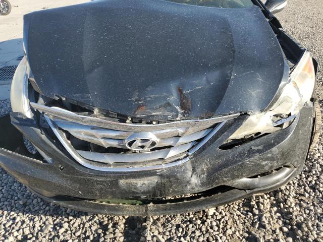 Photo 10 VIN: 5NPEC4AC7BH217306 - HYUNDAI SONATA 