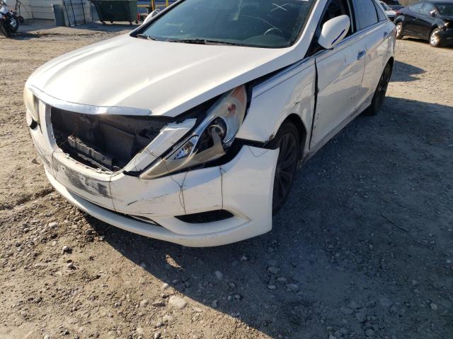 Photo 8 VIN: 5NPEC4AC7BH231867 - HYUNDAI SONATA SE 