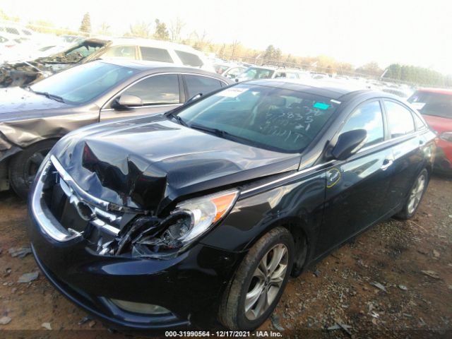 Photo 1 VIN: 5NPEC4AC7DH653835 - HYUNDAI SONATA 