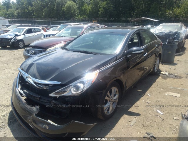 Photo 1 VIN: 5NPEC4AC7DH686026 - HYUNDAI SONATA 