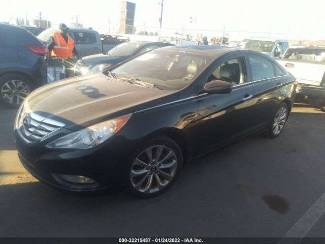 Photo 1 VIN: 5NPEC4AC7DH771187 - HYUNDAI SONATA 