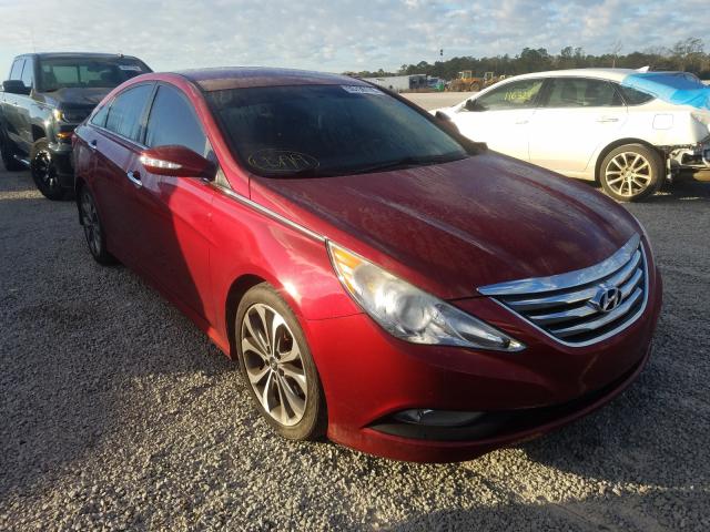 Photo 0 VIN: 5NPEC4AC7EH816503 - HYUNDAI SONATA SE 