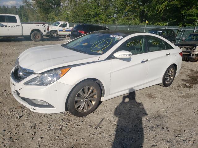 Photo 1 VIN: 5NPEC4AC7EH934521 - HYUNDAI SONATA SE 