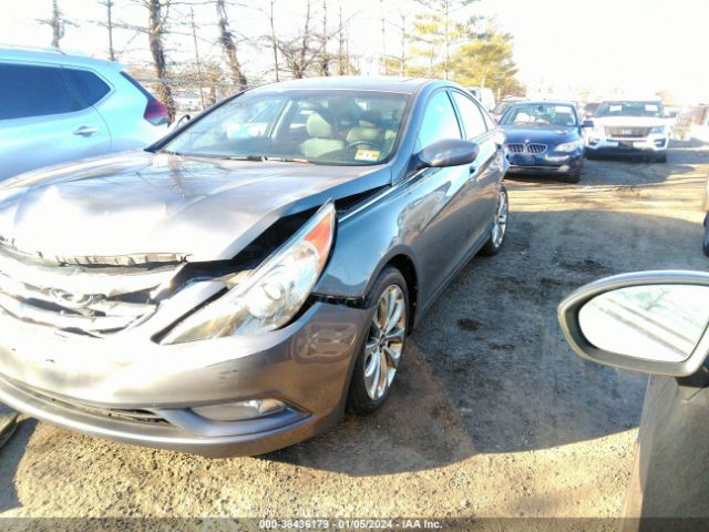 Photo 1 VIN: 5NPEC4AC8BH031693 - HYUNDAI SONATA 