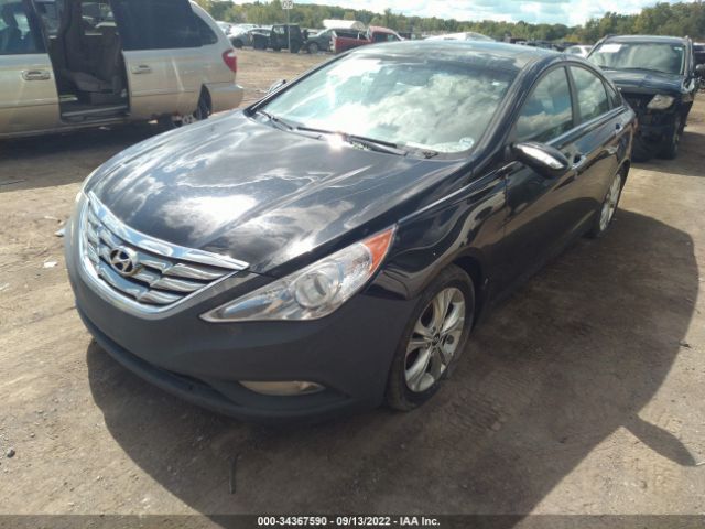 Photo 1 VIN: 5NPEC4AC8BH082174 - HYUNDAI SONATA 