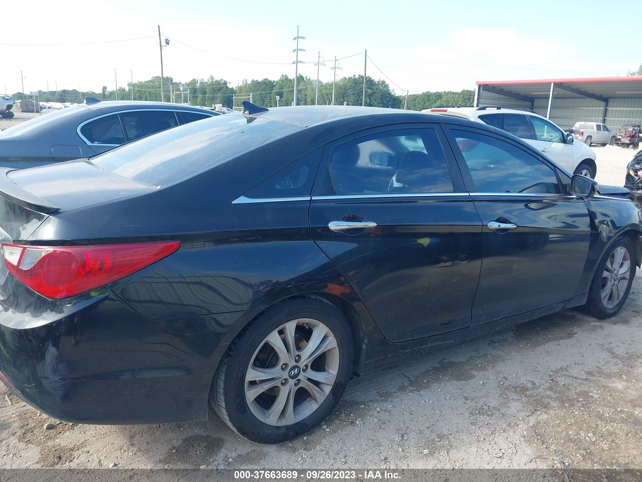 Photo 13 VIN: 5NPEC4AC8BH265039 - HYUNDAI SONATA 