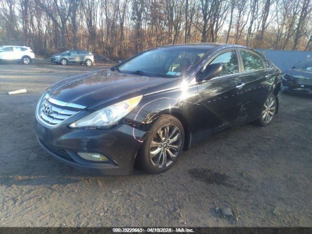 Photo 1 VIN: 5NPEC4AC8BH290197 - HYUNDAI SONATA 