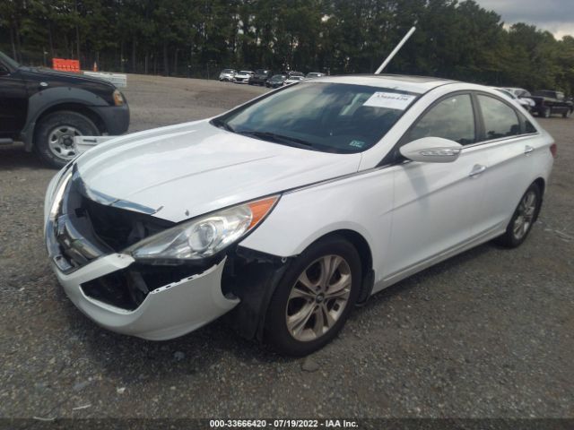 Photo 1 VIN: 5NPEC4AC8BH306981 - HYUNDAI SONATA 