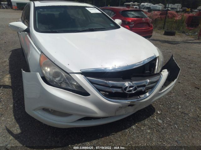 Photo 5 VIN: 5NPEC4AC8BH306981 - HYUNDAI SONATA 