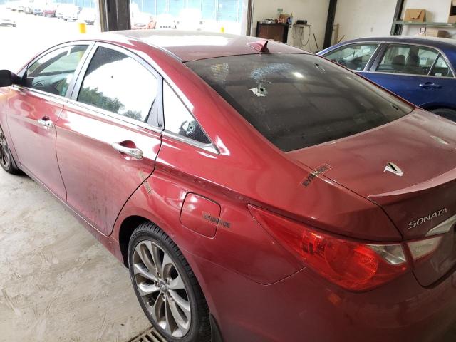 Photo 8 VIN: 5NPEC4AC8DH586436 - HYUNDAI SONATA SE 