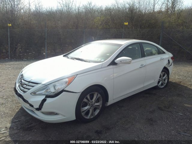 Photo 1 VIN: 5NPEC4AC8DH722175 - HYUNDAI SONATA 